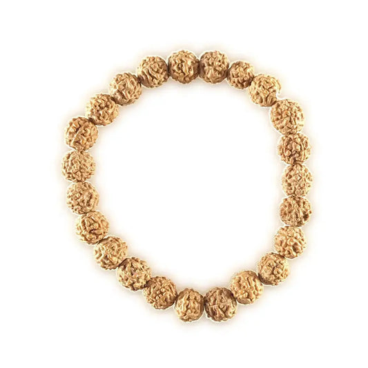 Bracelet made of rudraksha beads on a white background